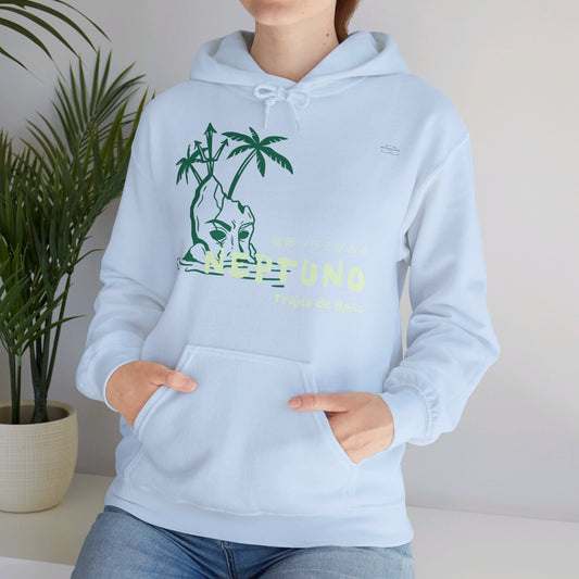 Japanese "I have genital lice" (Crabs), Green Island - Unisex Heavy Blend Hoodie - Rude Translation Clothing