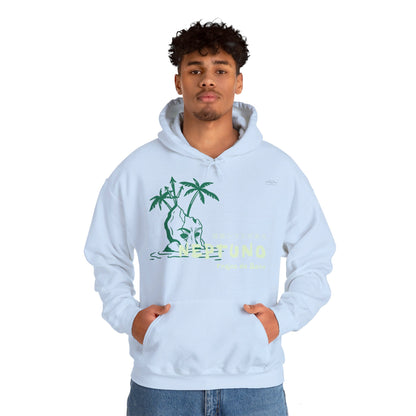 Japanese "I have genital lice" (Crabs), Green Island - Unisex Heavy Blend Hoodie - Rude Translation Clothing