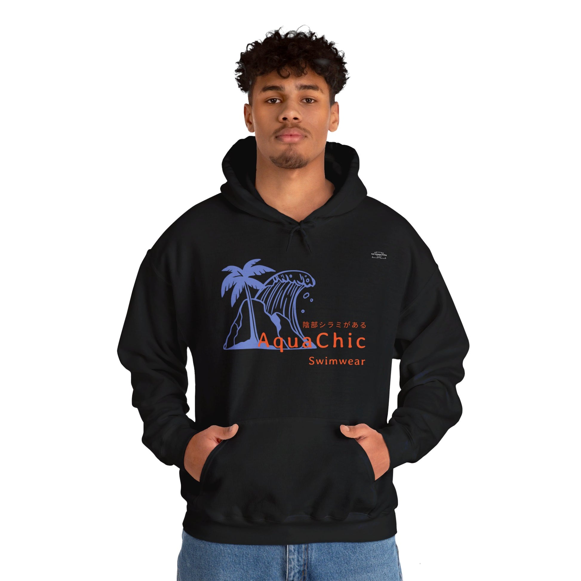 Japanese "I have genital lice" (Crabs), Blue Wave - Unisex Heavy Blend Hoodie - Rude Translation Clothing