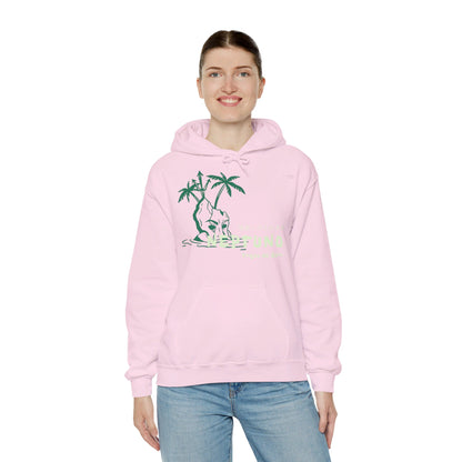 Japanese "I have genital lice" (Crabs), Green Island - Unisex Heavy Blend Hoodie - Rude Translation Clothing