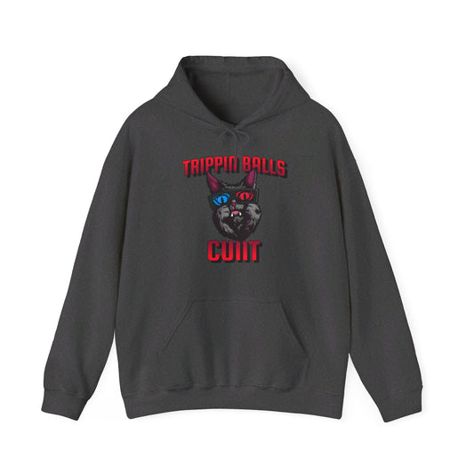 English 'Trippin balls cunt', 3D Glasses Cat - Unisex Heavy Blend Hoodie - Rude Translation Clothing