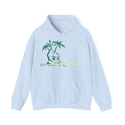 Japanese "I have genital lice" (Crabs), Green Island - Unisex Heavy Blend Hoodie - Rude Translation Clothing